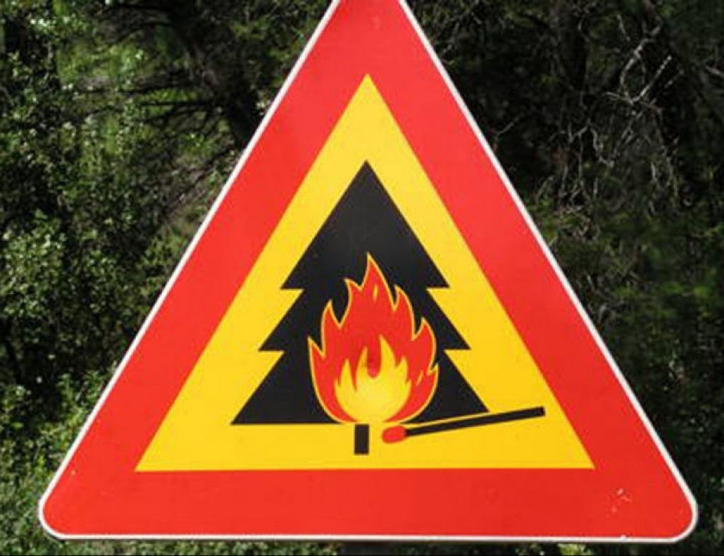 В Лидском лесхозе с 9 мая введен запрет на посещение лесов. Установлен IV класс пожарной опасности