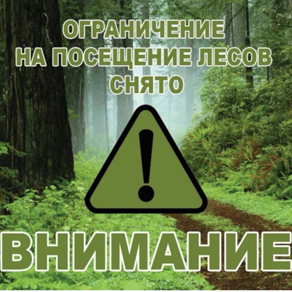 Ограничение посещения лесов 08.05.24 снято!